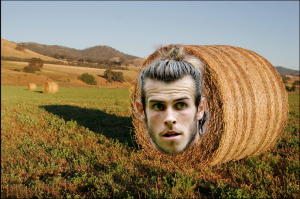 bale-of-hay